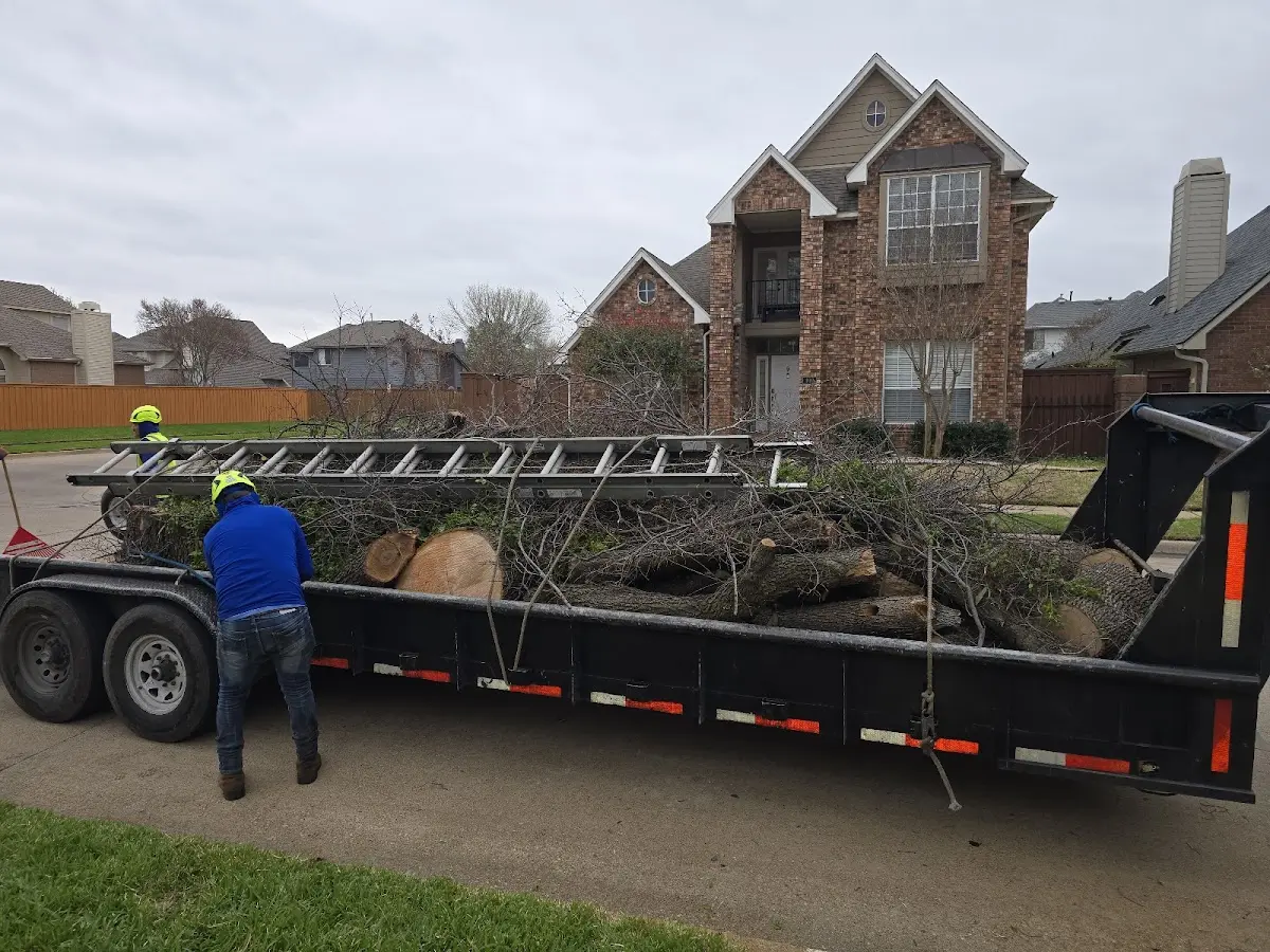 Expert Tree Fertilization with proper safety equipment in Howe